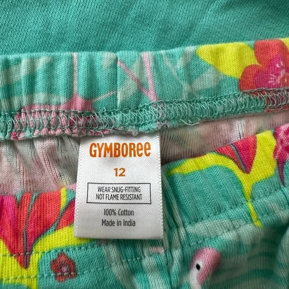 Gymboree Teal and Pink Flamingo Pajama Set